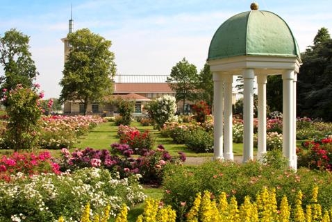 rozarium (k.Berkesteijn)